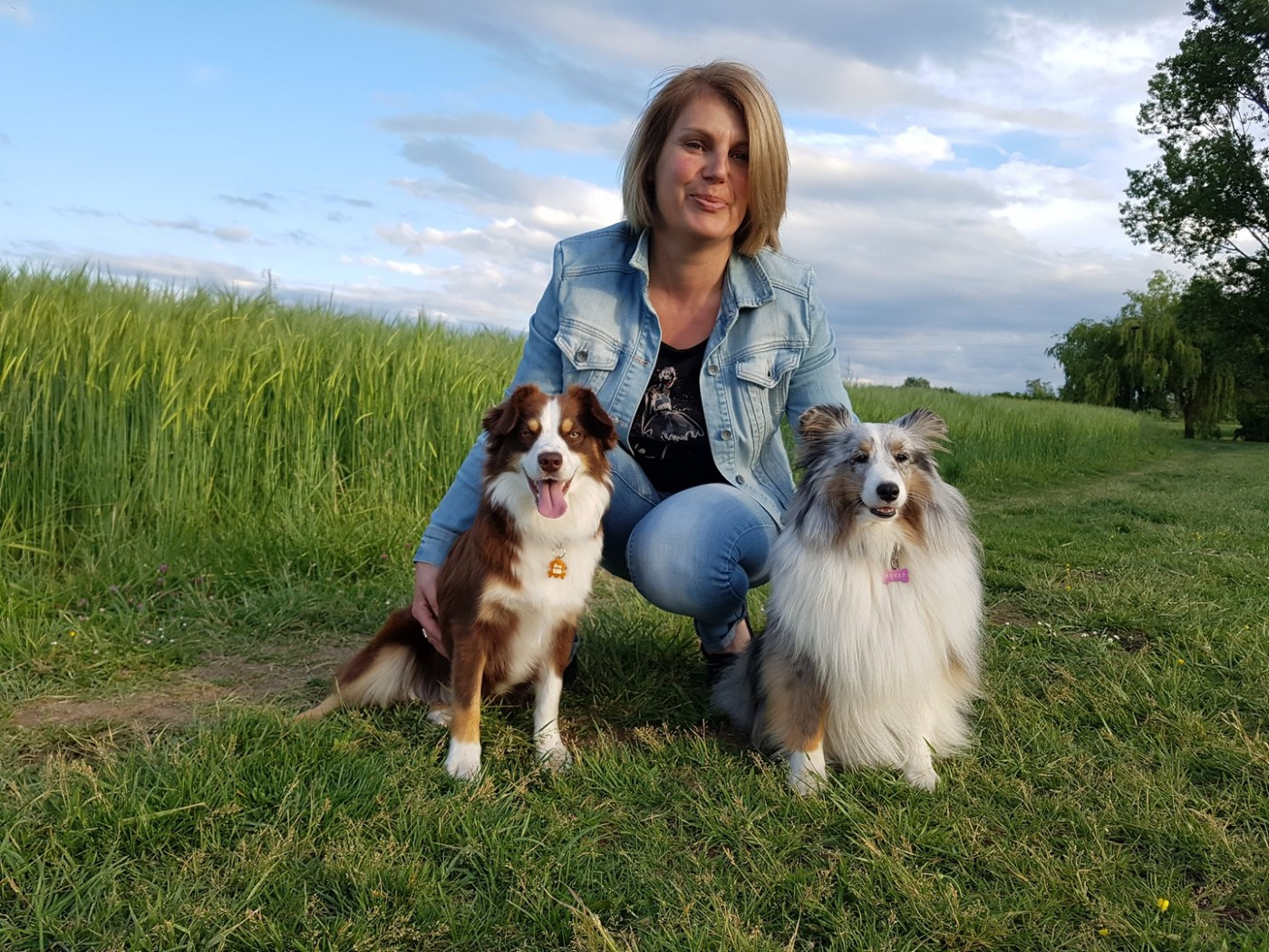 Nous n avons actuellement plus de chiots disponibles. Les prochaines portées sont prévues pour la fin de l année 2026.