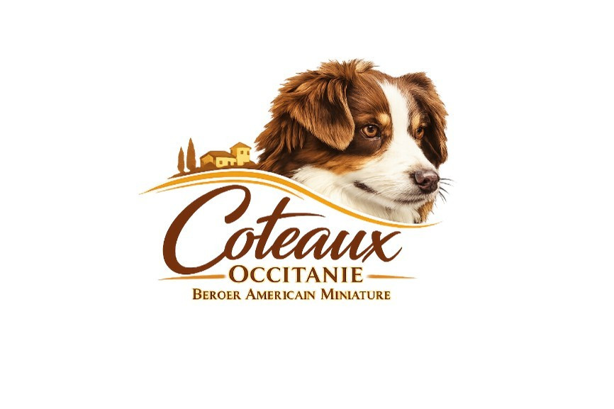 Des Coteaux D'Occitanie